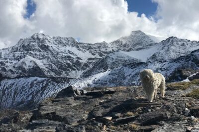 Hiking experience in the High Sierra Nevada National Park