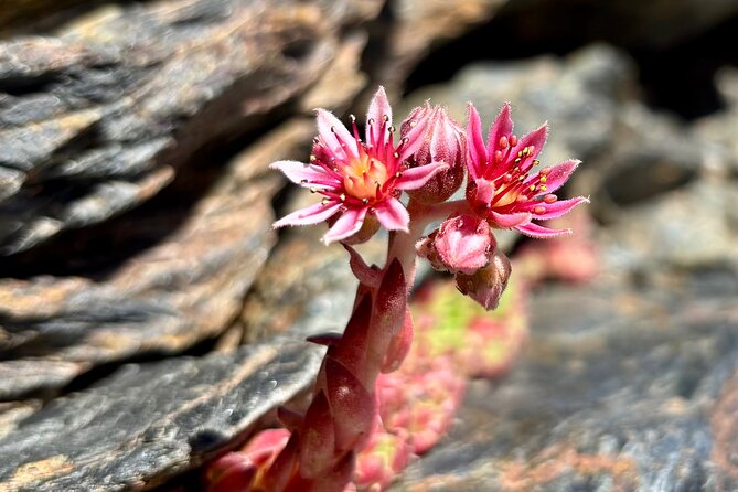Hiking experience in the High Sierra Nevada National Park - Is the $71.35 price good value?