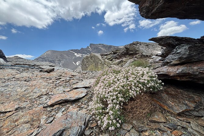 Hiking experience in the High Sierra Nevada National Park - Who should choose this hike?
