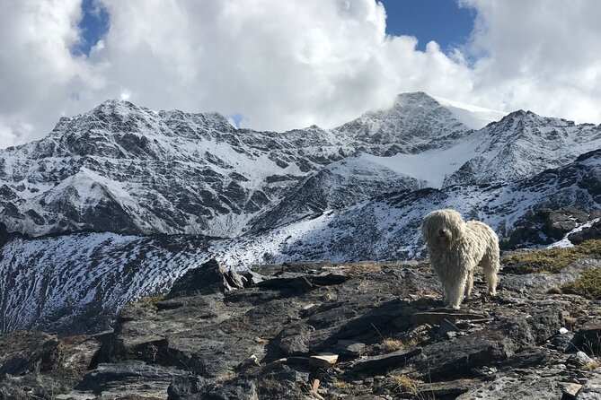 Hiking experience in the High Sierra Nevada National Park - Walking into the San Juan glacial valley
