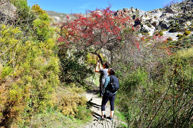 Hiking in the Canyon of the Monachil Cubs in Granada - A gentle pace, with a few genuine challenges