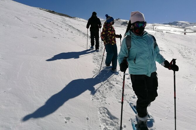 Hiking Snowshoeing in the Sierra Nevada Park, Granada - Choosing the route near Prado Llano