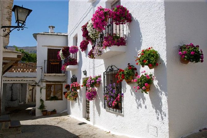 Las Alpujarras Full-Day Tour with Optional Lunch from Granada - Key points to know before booking
