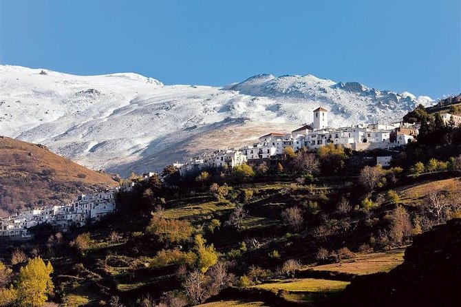 Las Alpujarras Full-Day Tour with Optional Lunch from Granada - What the guides add to the experience