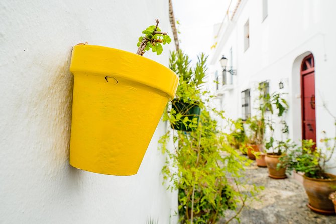 Nerja & Frigiliana Day Trip w/ Skip-Line from Granada (Max. 8) - Why this Granada day trip works