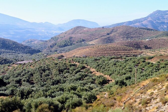 Premium Scenic Daytrip to Alpujarra Villages from Granada (Max 8) - Pampaneira for crafts, food, and free time