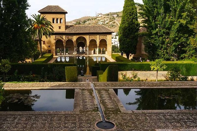 Private Alhambra palace tour and Granada from Motril cruise port - Inside the Nasrid Palaces and courtyards