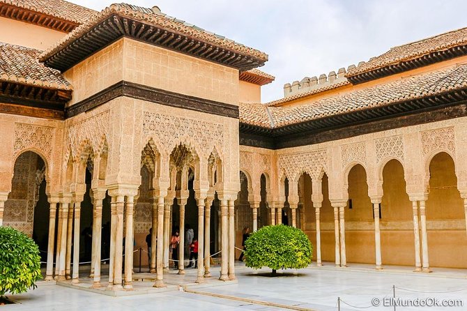 Private Alhambra palace tour and Granada from Motril cruise port - The guide can make or break the palace visit