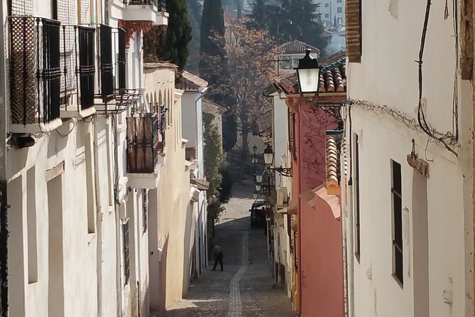 Private Jewish History Tour - Campo del Príncipe and the hard edge of public history