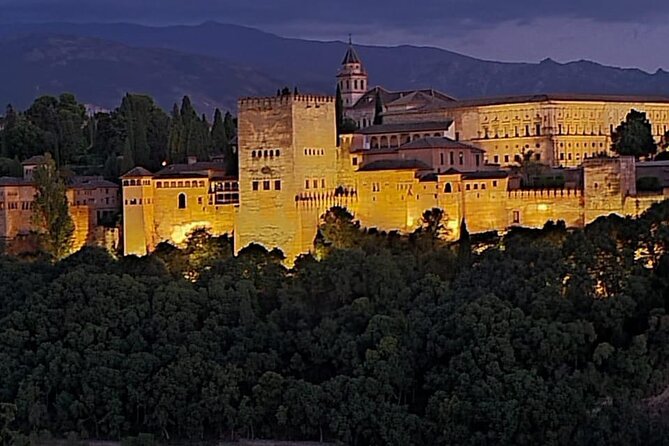 Private Night Tour of the Alhambra in Granada (includes tickets) - The Nasrid Palaces in 90 minutes