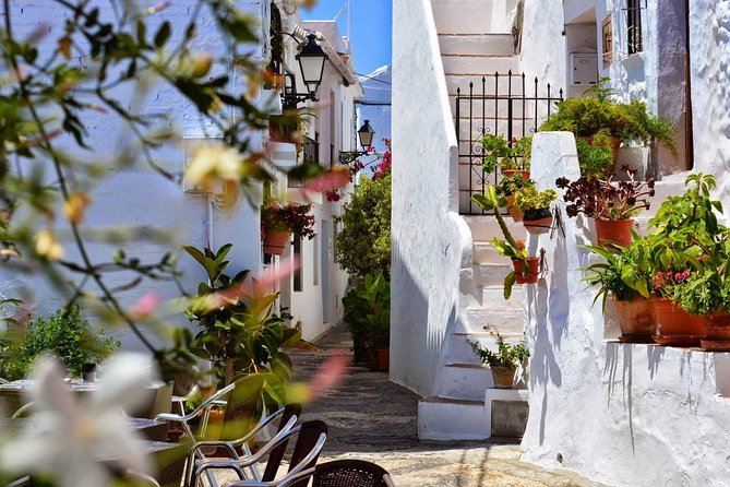 Private tour from Motril to Nerja, Frigiliana and Nerja caves - Is $625.77 per person good value?