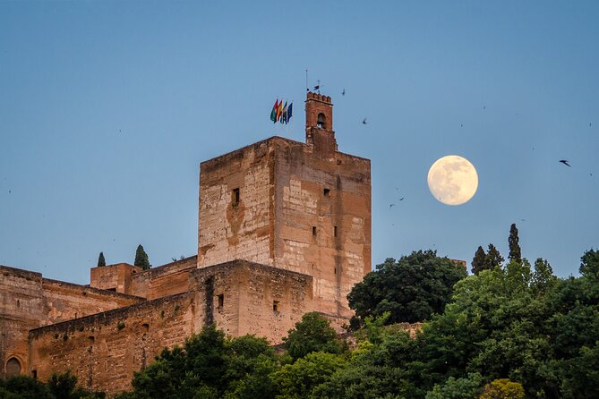 Private tour of the Alhambra entrances included - Key points to know before booking