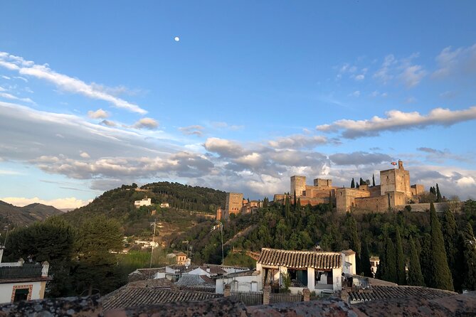 Private Tour of the Alhambra of Granada - Generalife Gardens and Palace Views