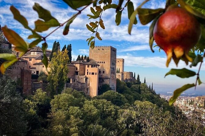 Private Tour to The Alhambra and Generalife from Motril port - What the $497.77 price really buys
