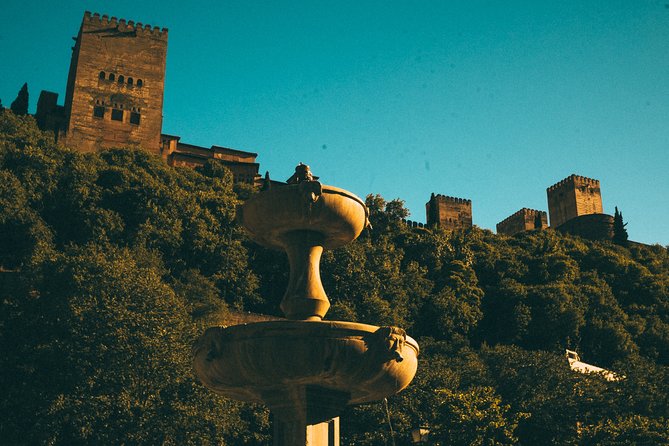 Private Tour to The Alhambra with Nasrid Palaces in Granada - What three hours really gets you