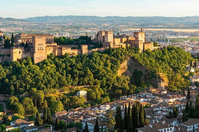 Private Tours Alhambra : Tickets & Tour Guide & Skip-the-Line - What the guide adds to the experience