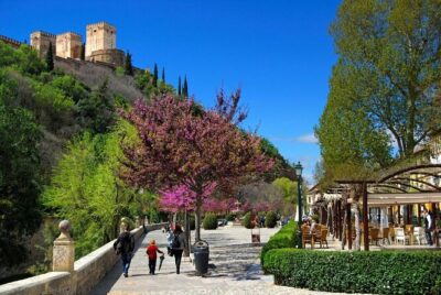 Segway Your Way Through Granada’s History: The Ultimate Ride