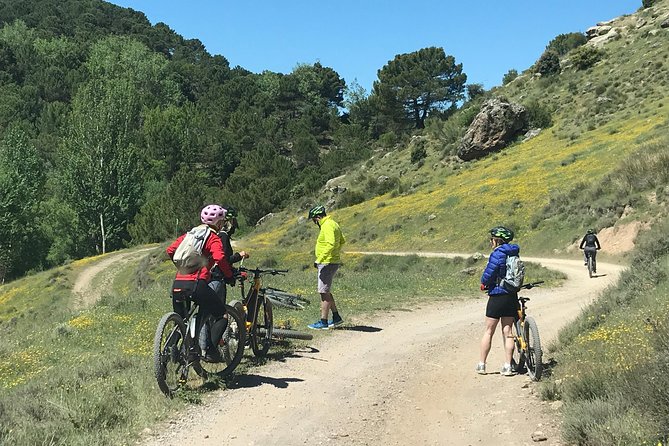 Sierra Nevada Ebike Tour Small Group - Group size, guide support, and safety