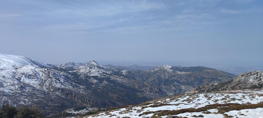 Sierra Nevada Small Group BIKE Tour - Sierra Nevada views without the museum crowds