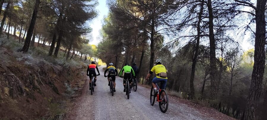 Sierra Nevada Small Group BIKE Tour - Manuel, the support team, and the small-group advantage