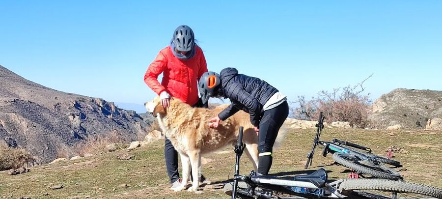 Sierra Nevada Small Group E-Bike Tour - FAQ