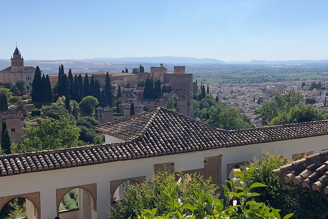 Small group visit to the Alhambra with tickets included - The Nasrid Palaces, the heart of the visit