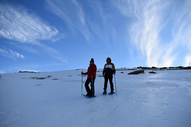 Snowshoe hiking in Sierra Nevada (Granada) - Key points to know before booking