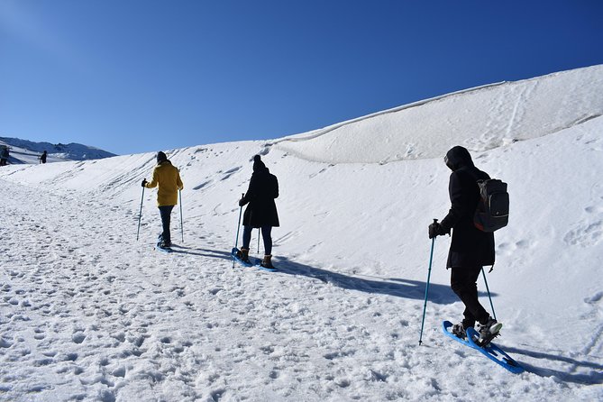 Snowshoe hiking in Sierra Nevada (Granada) - Hoya de la Mora and the Santuario de la Virgen de las Nieves
