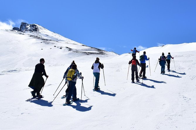 Snowshoe hiking in Sierra Nevada (Granada) - Sierra Nevada National Park on foot