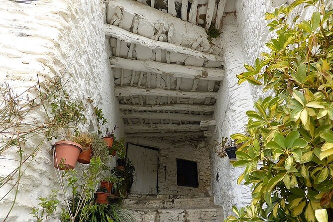 The Unchanged Villages of Alpujarra Small-Group Guided Day Trip - Climbing into the Sierra Nevada