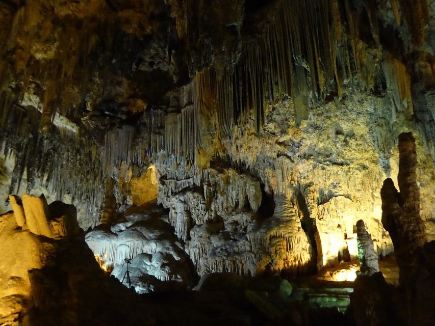 Tropical Coast and Caves of Nerja Day Tour from Granada - Who should book this day?