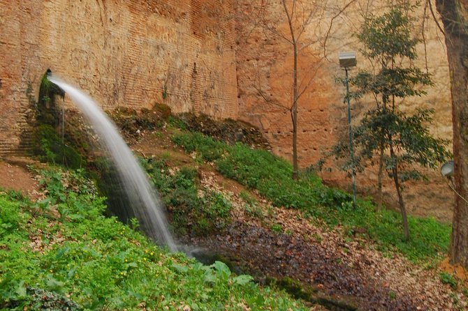 Water paths. Private adventure and history tour - Fuente del Avellano and the Romayla ditch